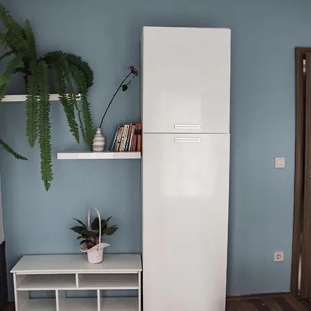 Butik Apartmanhaz Apartament