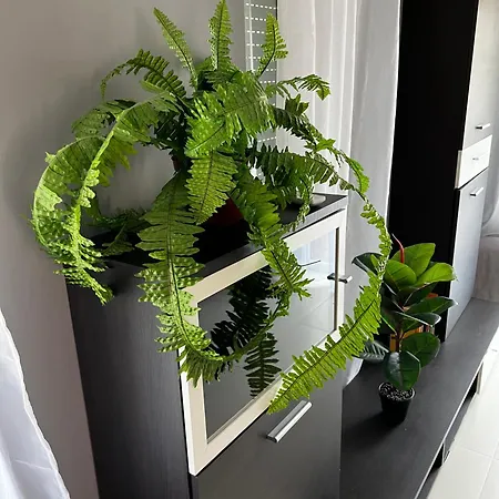 Butik Apartmanhaz *